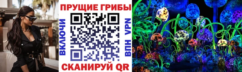 Псилоцибиновые грибы Psilocybe  что такое   гидра ссылка  Ипатово 